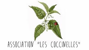 Association Les Coccinelles logo