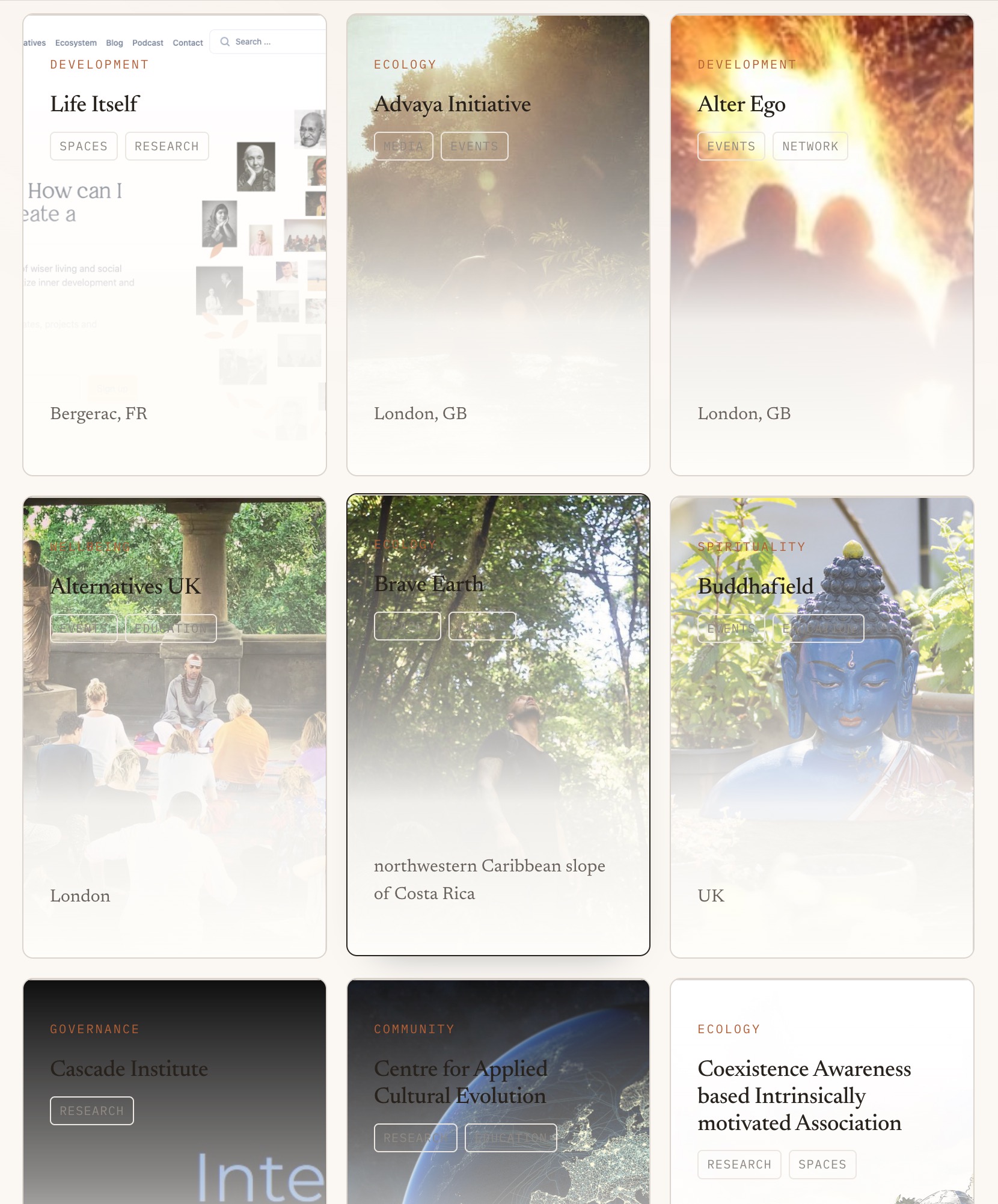 Directory profile cards with imagery